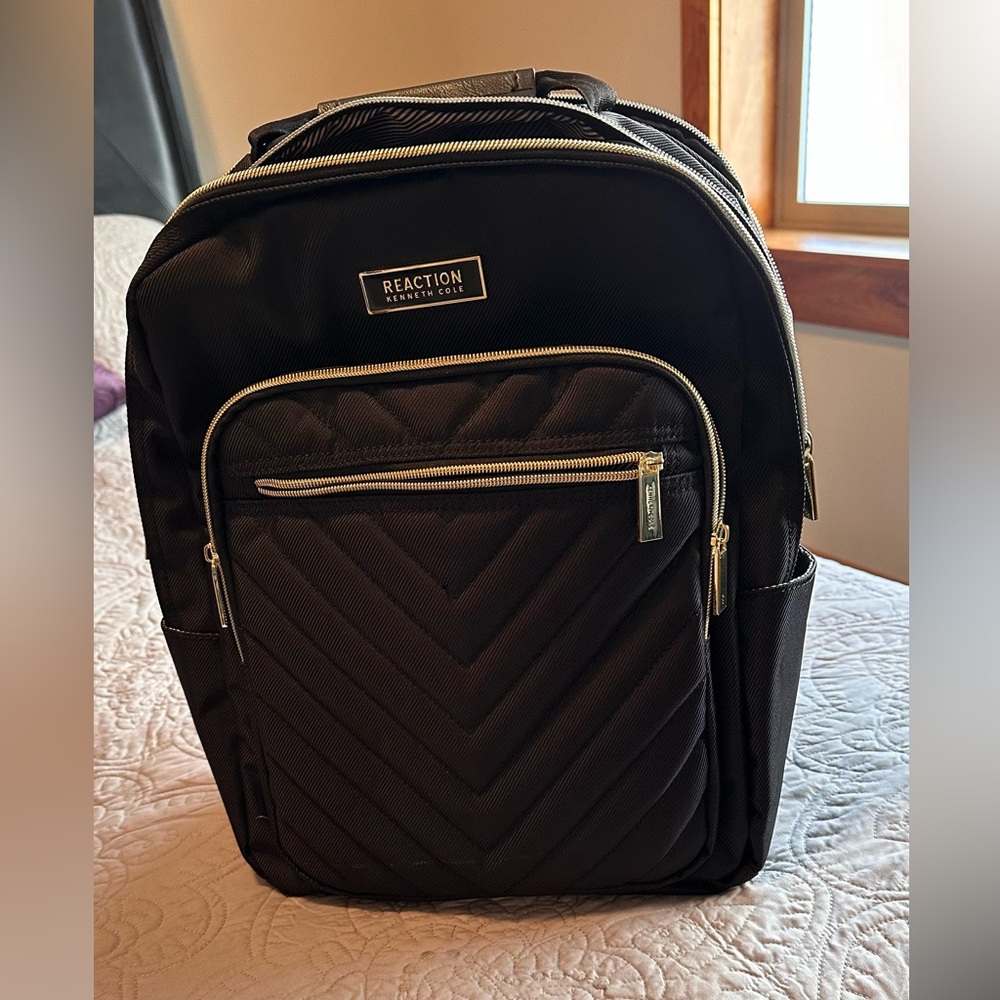 Kenneth Cole laptop backpack.